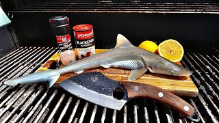 Grilled Baby Shark Catch N' Cook!