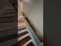 I swear he’s proud of himself 😂 (snake sliding down a banister!) #shorts