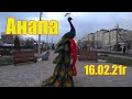 Анапа. Погода 16.02.21г.  Прогуляемся, посмотрим сколько снега во дворах.