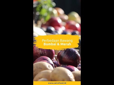 Video: Apa perbedaan bawang merah dan bawang bombay?