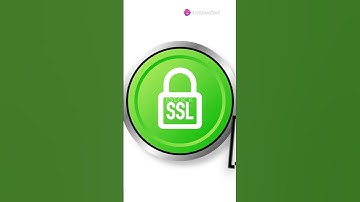 Seedr.cc: Fast & Easy Torrenting!