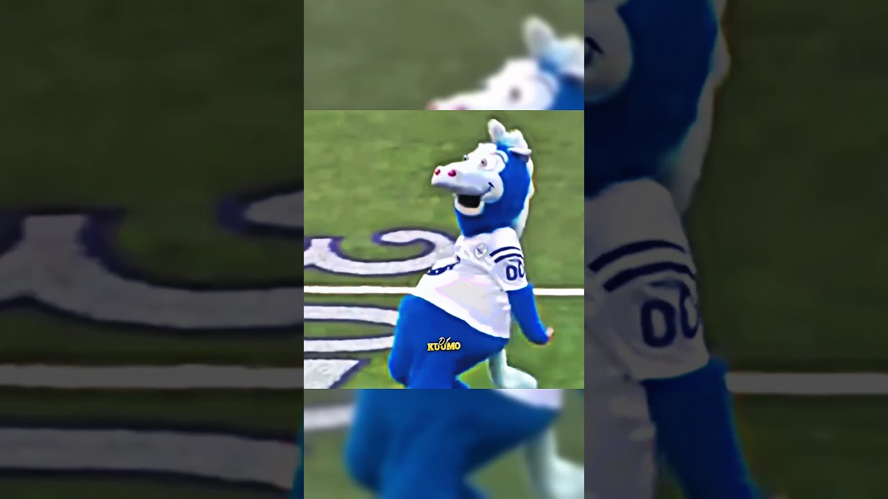 Introducing The Wild MASCOTS OF THE NFL Nfl Shorts