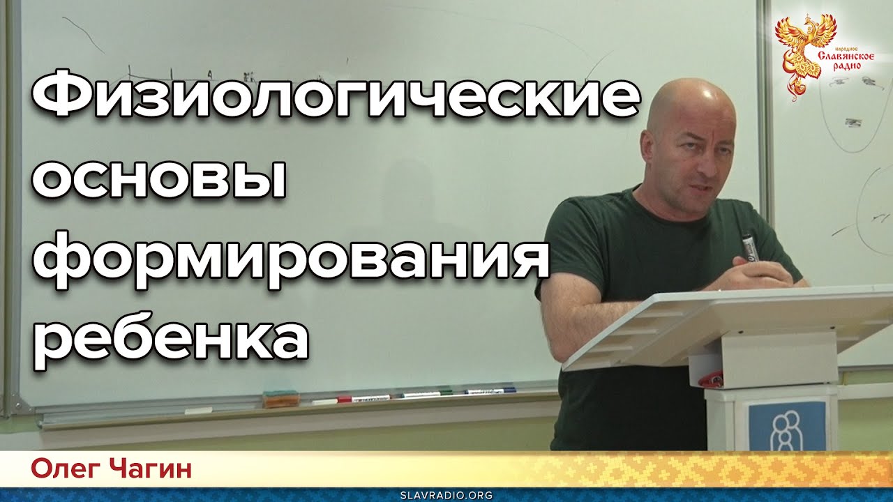 Богдан чагин химия