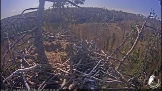 J E20210501 093300MaleWithNormalVoiceCalls 093640MaleWithNormalVoiceAndFemaleCall 094555Again