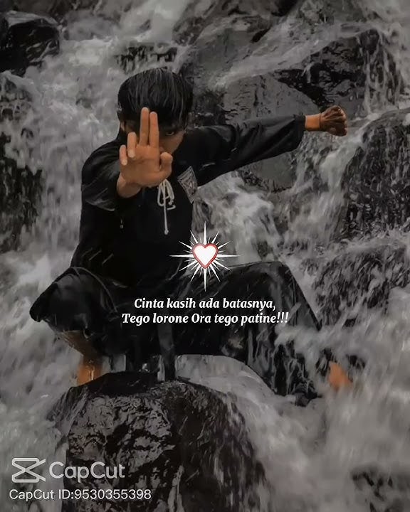 story'wa PSHT salam persaudaraan setia hati Terate salam pencak silat