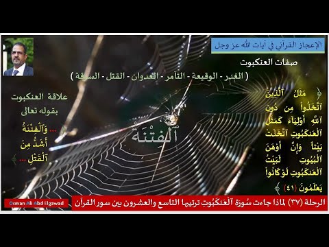 الرحلة ٣٧ لماذا جاءت سورة العنكبوت ترتيبها التاسع والعشرون بين سور القرآن الكريم