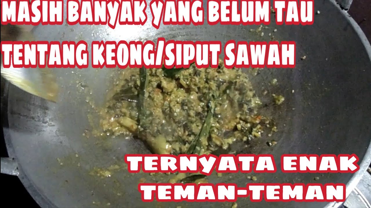 CARA MEMASAK KEONG SAWAH / SIPUT SAWAH - SERAA SEDAP 