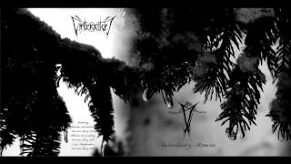 Dark Ambient - Vinterriket - Durch die Leere der Nacht