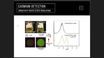 Engineering Living Functional Materials for Environmental Applications: Tzu-Chieh Tang, MIT