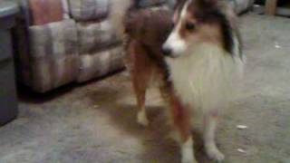 IMAG0092.AVI