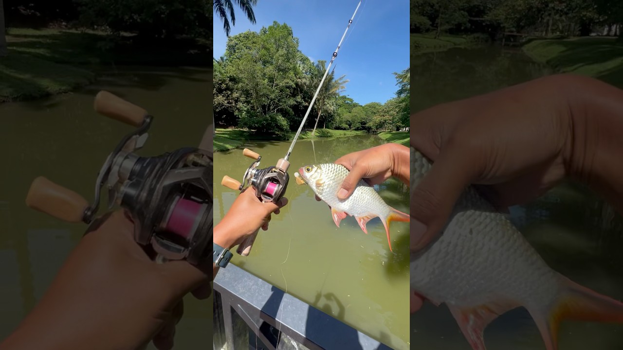 Casting lampam lagi gaisss 