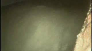 5061 Colfax Ave North Hollywood, CA  91601