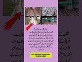 surah|yasin|rahman|yaseen|rehman|online quran|tilawat|juma|naat|ishq|status