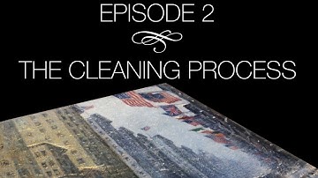 The Conservation of Guy Wiggins - Episode 2: " The Cleaning Process"