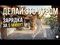 Секрет долголетия: 5 Китайских Жемчужин для мощной энергии и здоровья.