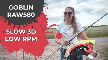 Goblin RAW580 // Slow 3D // Simone Zunterer