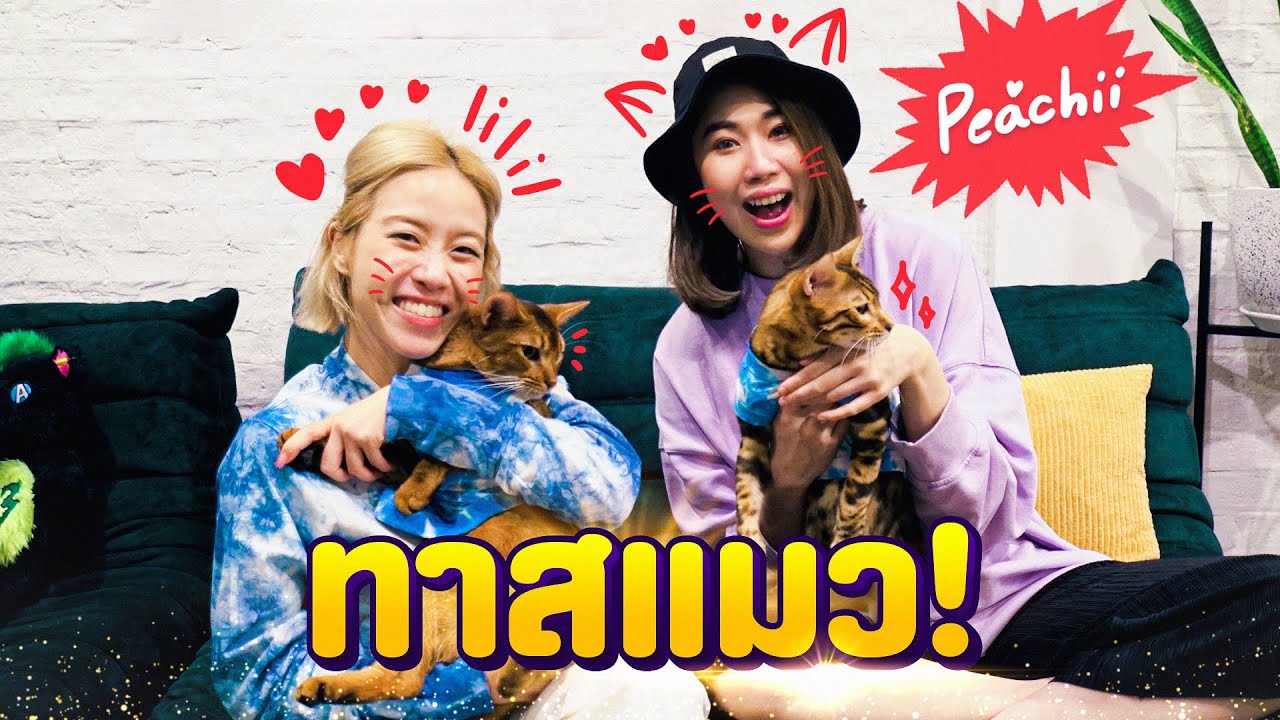 พีชชี่มาเม้าท์เปิดใจ! เป็นซึมเศร้าแต่ดีขึ้นเพราะน้องแมว!!