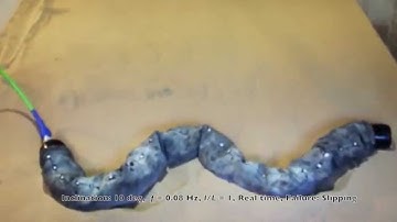 Sidewinder robots slither like snakes (video 2)