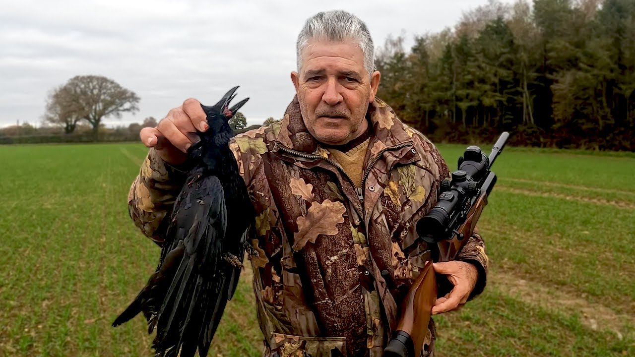 Shooting Pigeons & Crows With BSA Air Rifle R10 #bsaairrifle #hunting ...