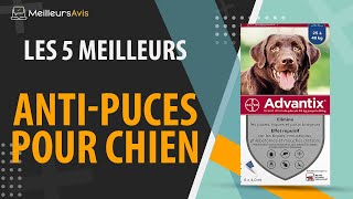 ⭐️ MEILLEUR ANTI-PUCES POUR CHIEN - Avis & Guide d'achat (Comparatif 2021)