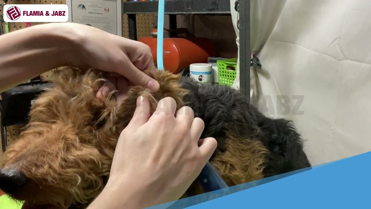 Flamia & Jabz Stripping knifes For Dog Professional SK-16