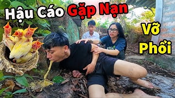 Biến Căng ! Hậu Cáo Gặp Nạn Trèo Dừa Săn Chim Tặng Fan Suýt Niệm