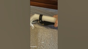 Red Wine Stain Removal Magic!