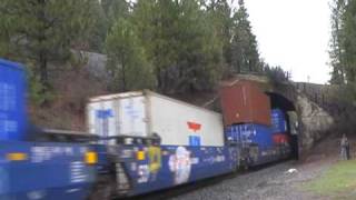 Union Pacific Container Train - Williams Loop - Feather River Canyon - Northern California - USA