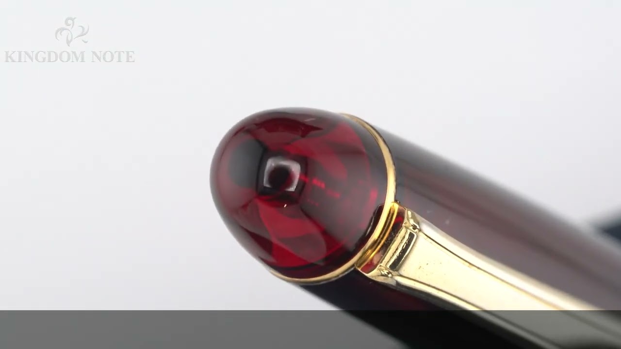 PLATINUM プラチナ 万年筆 #3776 センチュリー ブルゴーニュ PNB-15000