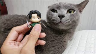 進撃の巨猫