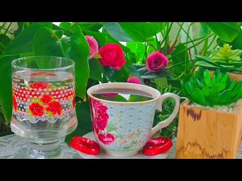 جمال قهوة الصباحية وجمالها ساحره صباح الجمال 