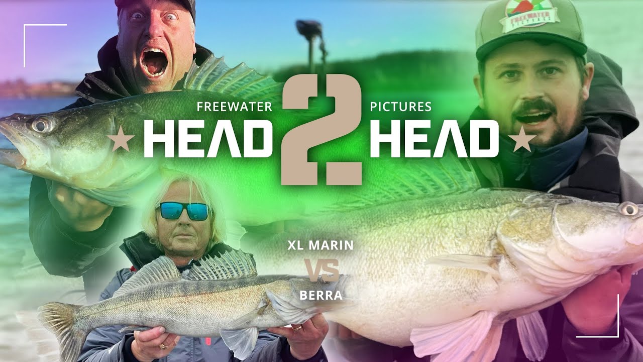Head2Head - XL marin vs Berra