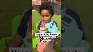 Vegan Baby Recipe &amp; Taste Test - Episode 4: Watermelon Popsicles! (Happy National Watermelon Day!)