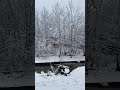 Ну какова красота! #зимняясказка #простобугровы #shorts