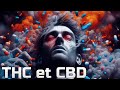 Le cannabis thc cbd cbn cest dangereux   cf14