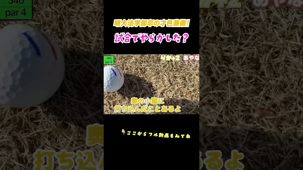 平成やらかし娘