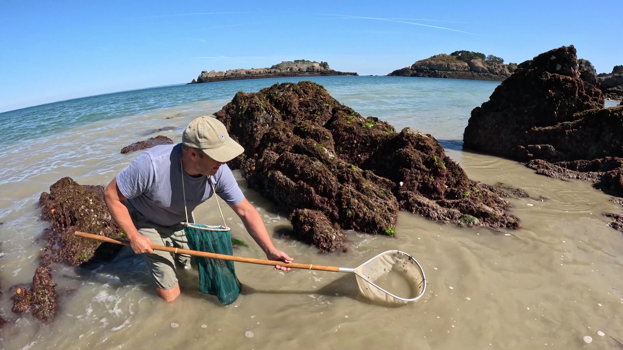 Pêche à pied : délices et surprises de Cancale !