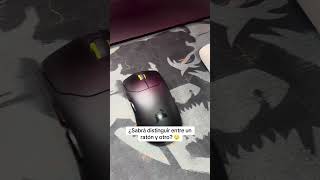 ¿Tú qué crees? 😬😂#Corsair #mouse #mousegamer #cat #gaming