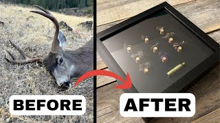 Turning My First Blacktail Buck Into a DIY Fly Tying Shadow Box