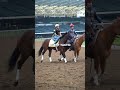 Derby runner-up Renegade. Belmont runner-up Commandment. Watch the Jim Dandy Saturday at Saratoga 🎪
