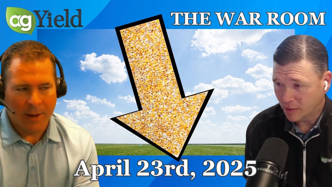 The grain markets slump on...what's the path forward for farmers & traders? | The War Room: 4/22/25