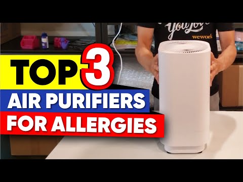 Best Air Purifier for Allergies  Top 3 Picks