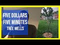 Garden ideas for your home - $5 projects (2025)