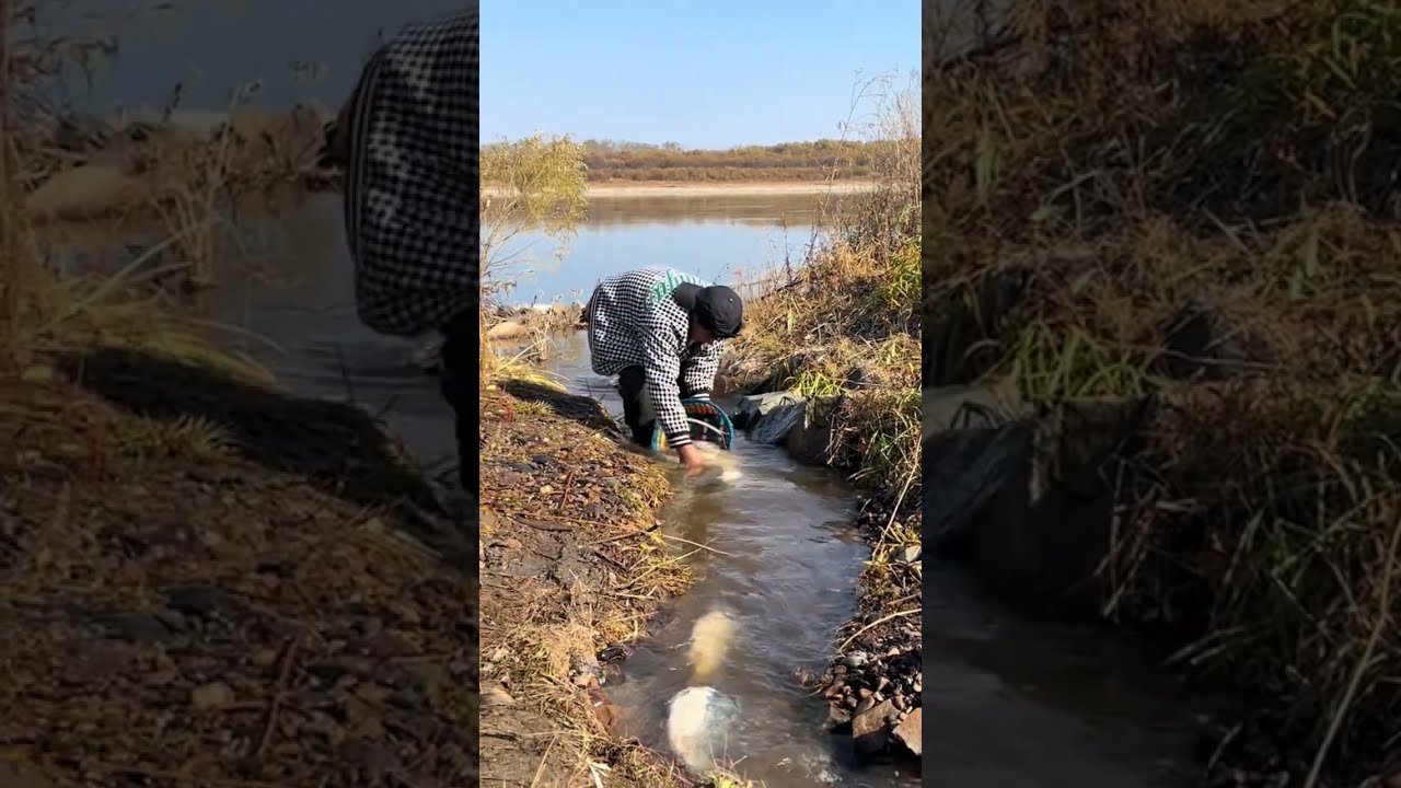 Fishing In Mohe The Northeast Joy Of Outdoor Wild Experiencex 133