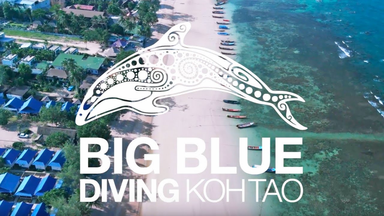 The Best Dive Center on Koh Tao! YouTube