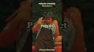 Perreo Furioso - Maria Becerra - Ponte Activo #mariabecerra #activo #top #lgbt