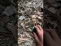 jbl mini speaker testing