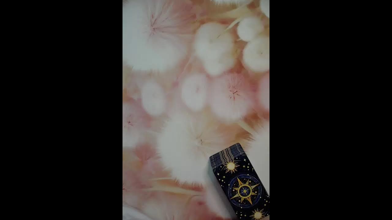 Абсолют Кристалл Channel  в прямом эфире