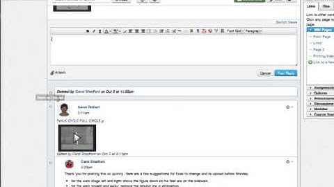 Canvas Discussion Replies