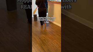 Mopping My Sticky Floors Dog Edition